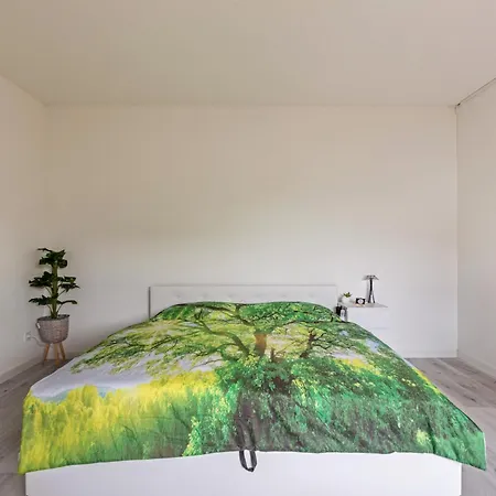 Haus Sonnenschein * Bad Sackingen